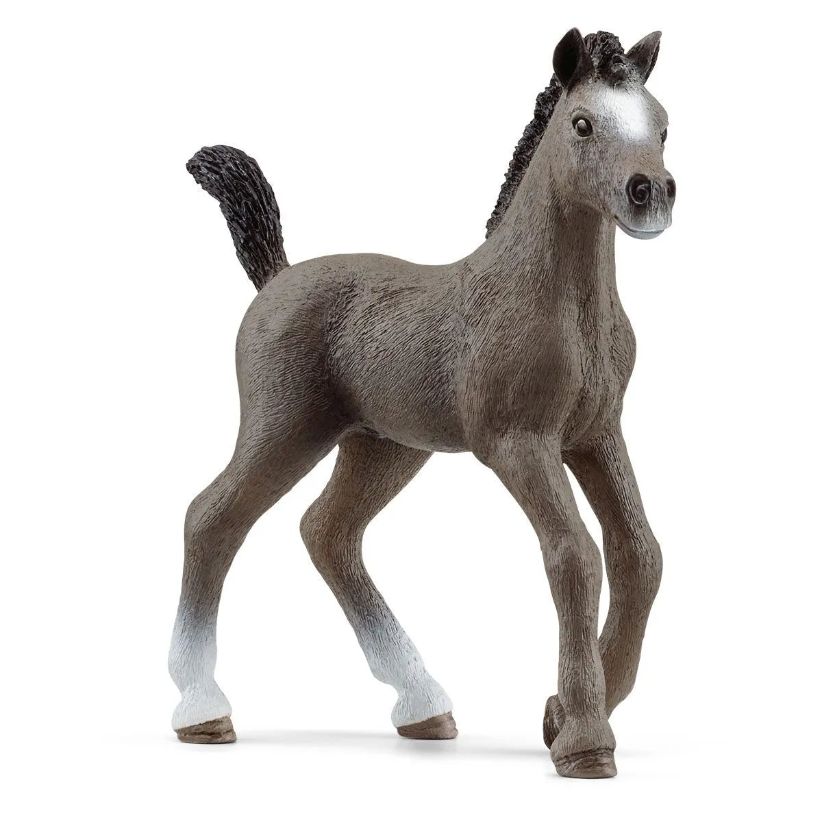 SC Selle Francais Foal (7655334346951)