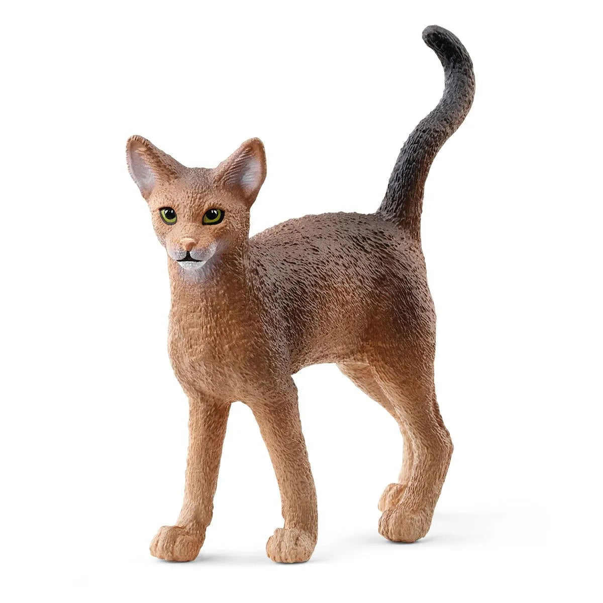 SC Abyssinian Cat (7655334314183)