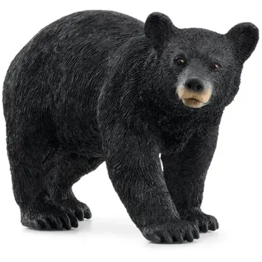 SC American Black Bear (7965239410887)