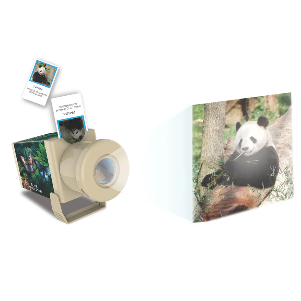 4M Kidz Labs Slide Projector - Wildlife