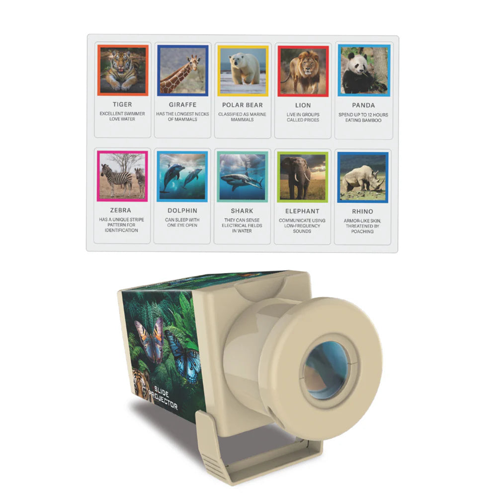 4M Kidz Labs Slide Projector - Wildlife