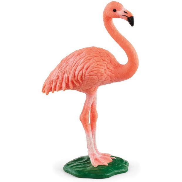 SC Flamingo (7324061040839)