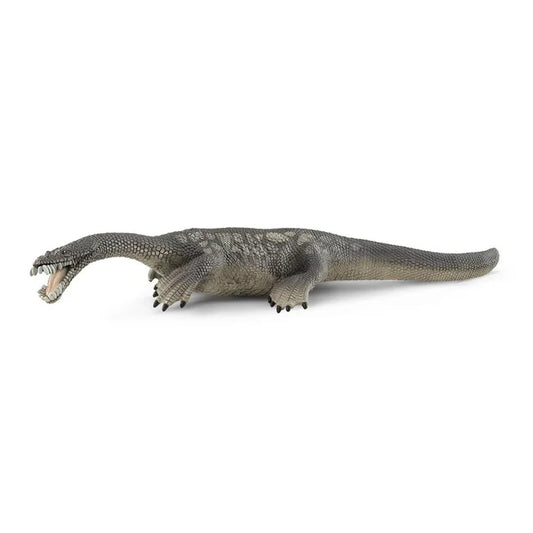 SC Nothosaurus (7356405317831)