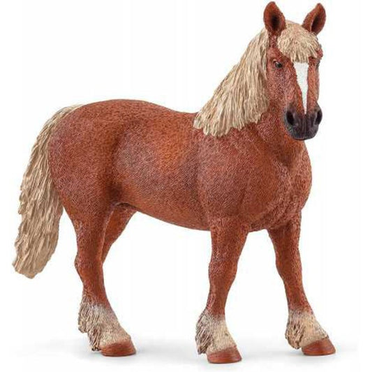 SC Belgian Draft Horse (7324324495559)