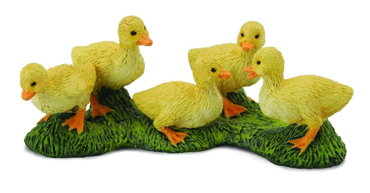 CO Ducklings (S) (4607599673379)