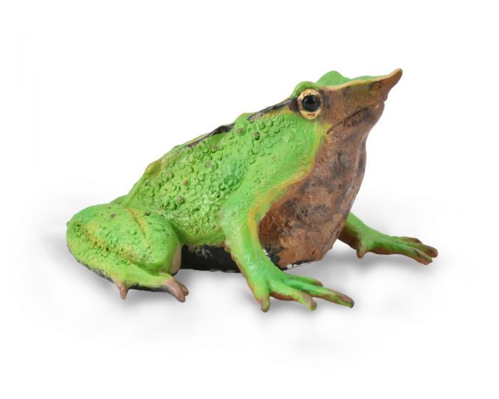 Darwins Frog (7094866837703)