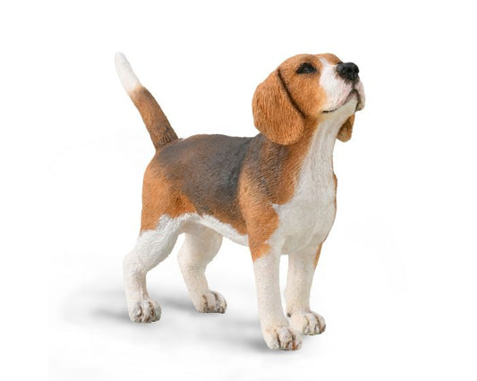Beagle (7094866575559)