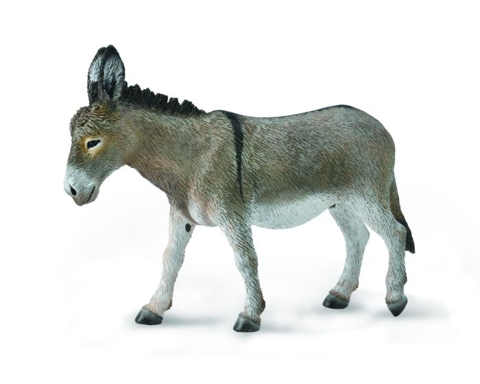 Donkey (7094866510023)