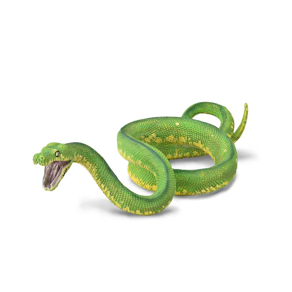 CO Green Tree Python (L) (7382454993095)