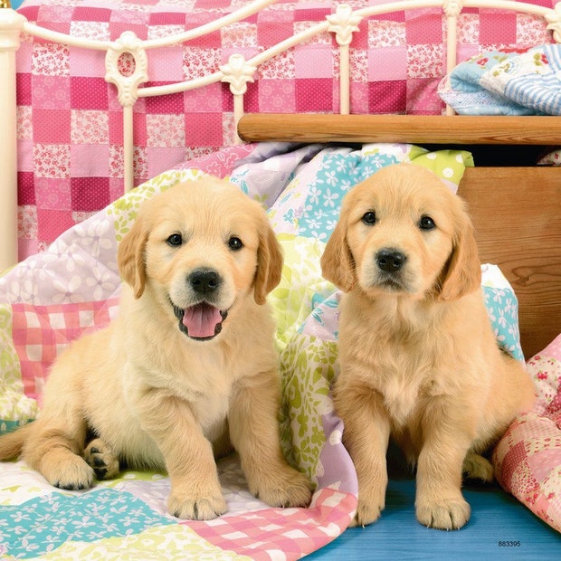 RB Cute Puppies 3x49pc (4568471470115)