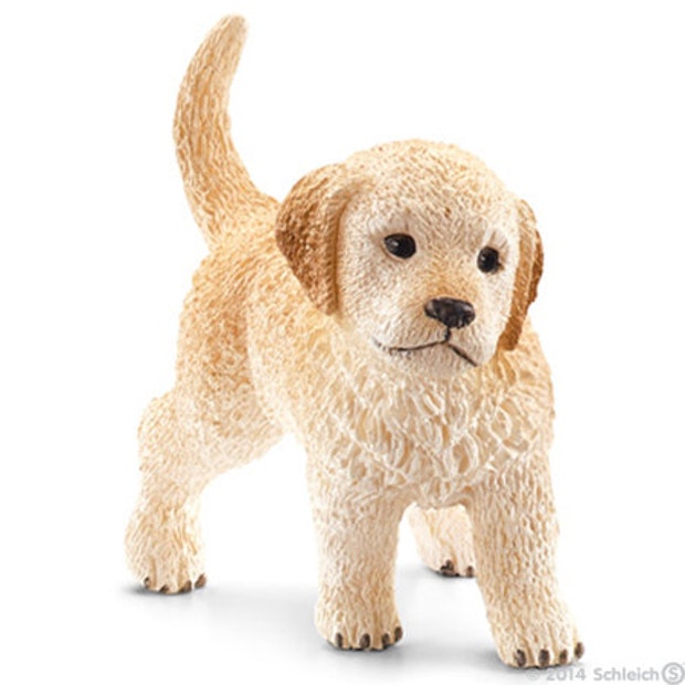 SC Golden Retriever Puppy (4605564223523)