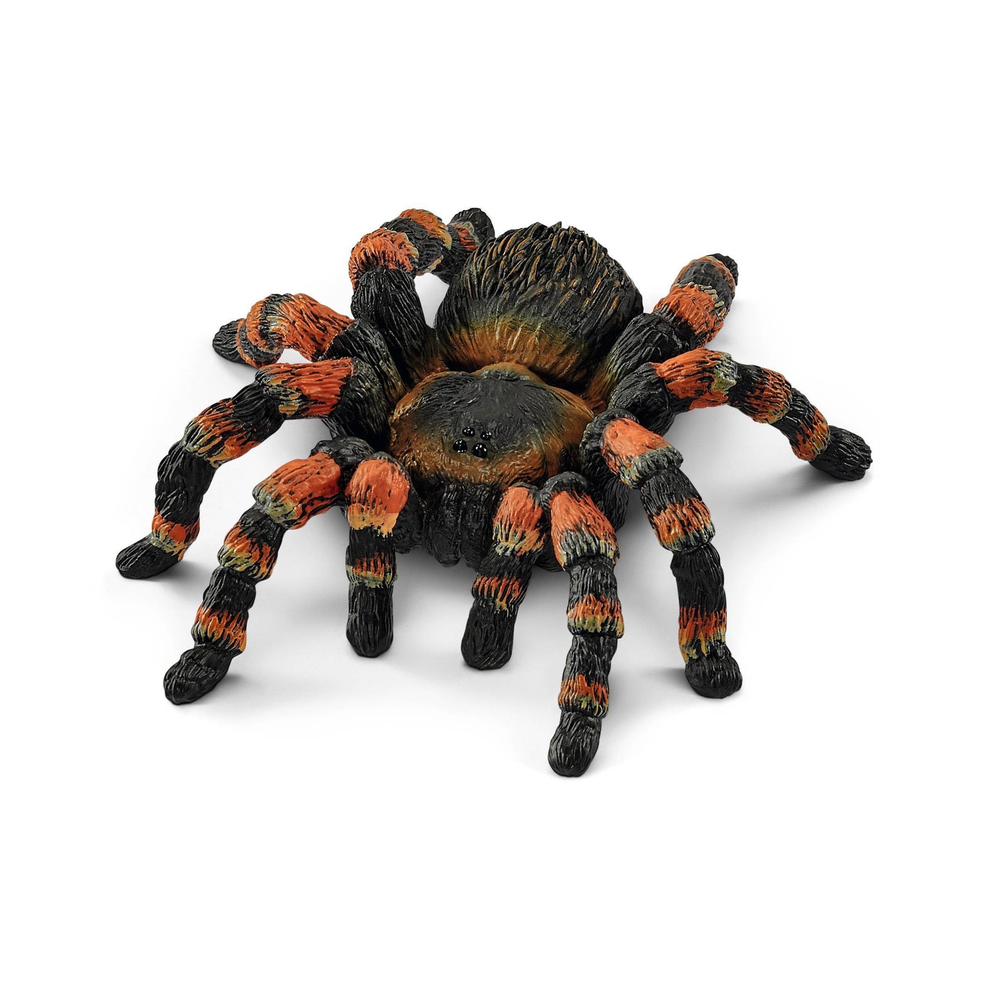 SC Tarantula (6705037017287)