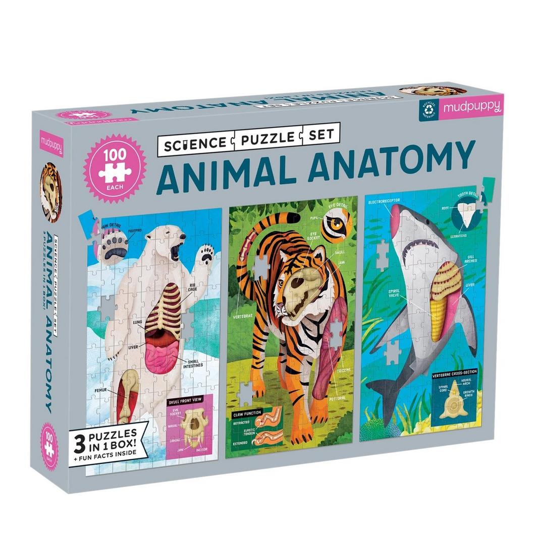 MP Animal Anatomy Science 3 Puzzle Set (7121689608391)