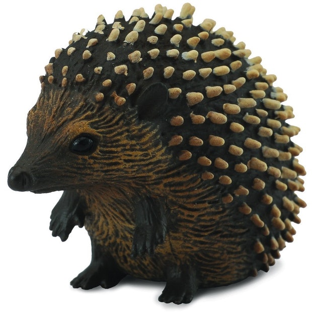 CO Hedgehog (S) (4573159850019)