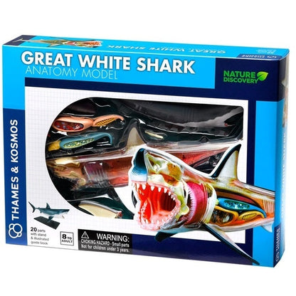 Great White Shark Anatomy (4569716457507)