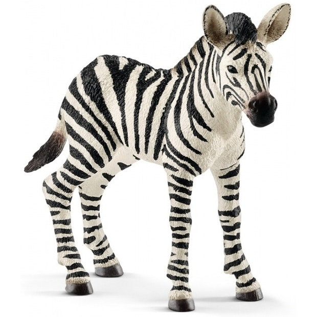 SC Zebra Foal (4588702662691)