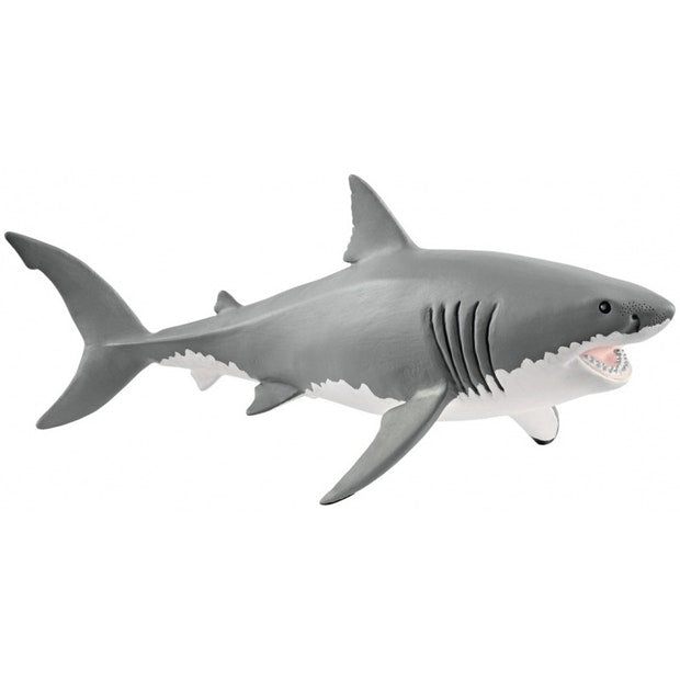 SC Great White Shark (4588702597155)