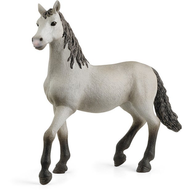 SC Pura Espanola Young Horse (6904209998023)