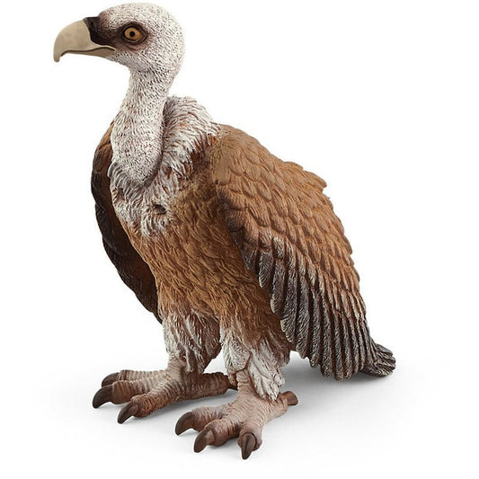 SC Vulture (6246564167879)