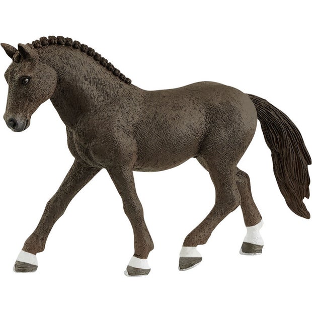 SC German Riding Pony Gelding (6246620823751)