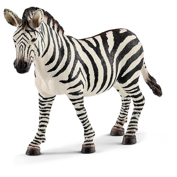 SC Zebra Female (4575937757219)