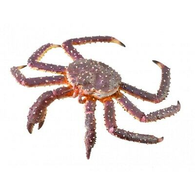 CO King Crab (XL) (4590447296547)