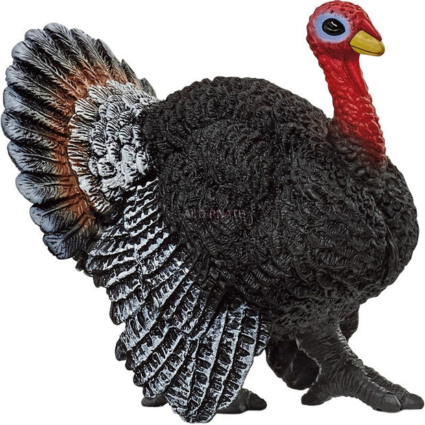 SC Turkey (4588685623331)