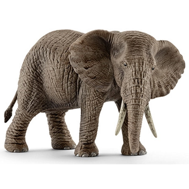 SC African Elephant Female (4575937658915)