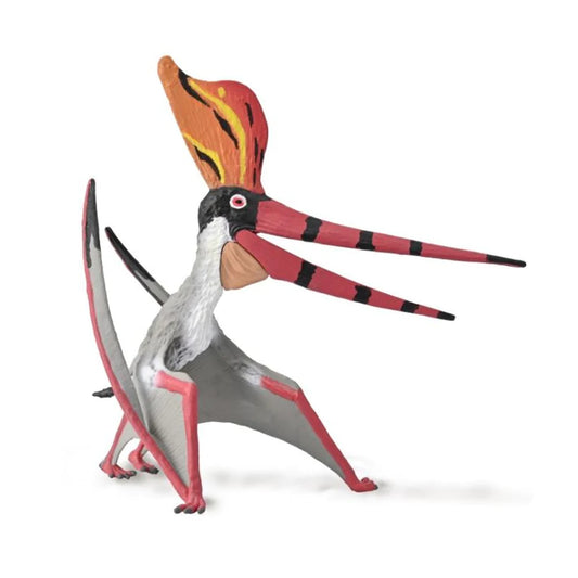 CO Pteranodon Sternbergi (XL) (7382435594439)