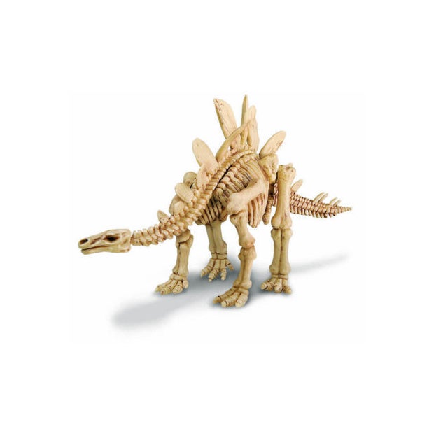 Stegosaurus Skeleton Excavation Kit 4m (6819527164103)