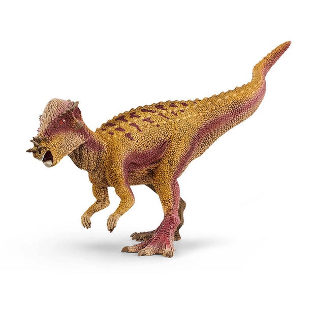 SC Pachycephalosaurus (6246564266183)