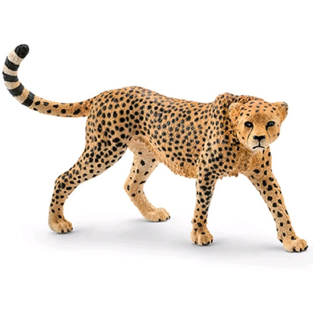 SC Cheetah Female (4575937593379)