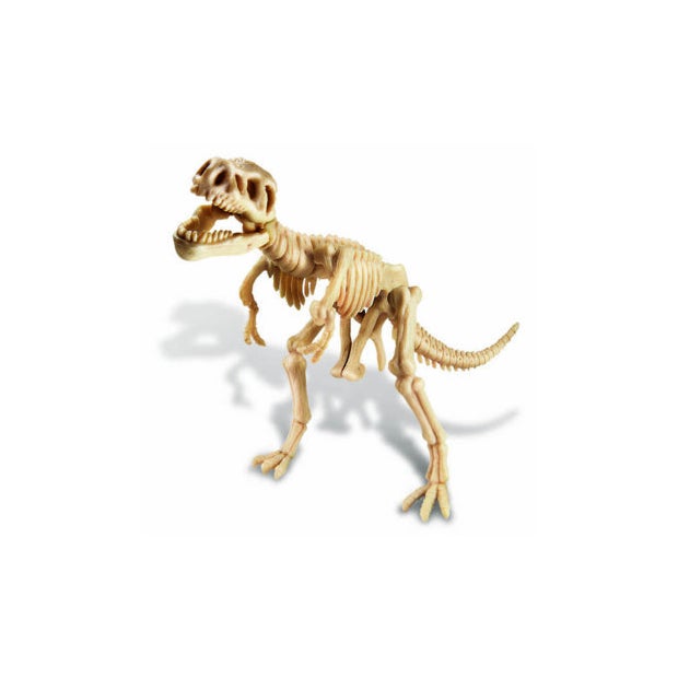 T Rex Skeleton Excavation Kit 4m (6819527131335)