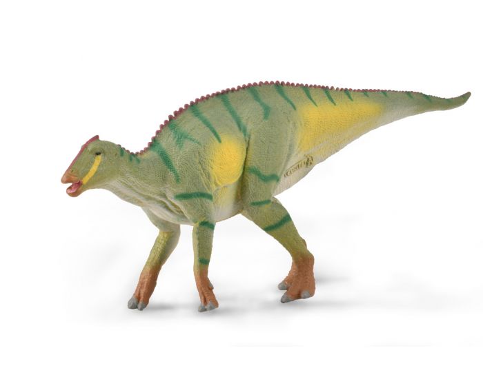 CO Kamuysaurus (M) (6696940568775)