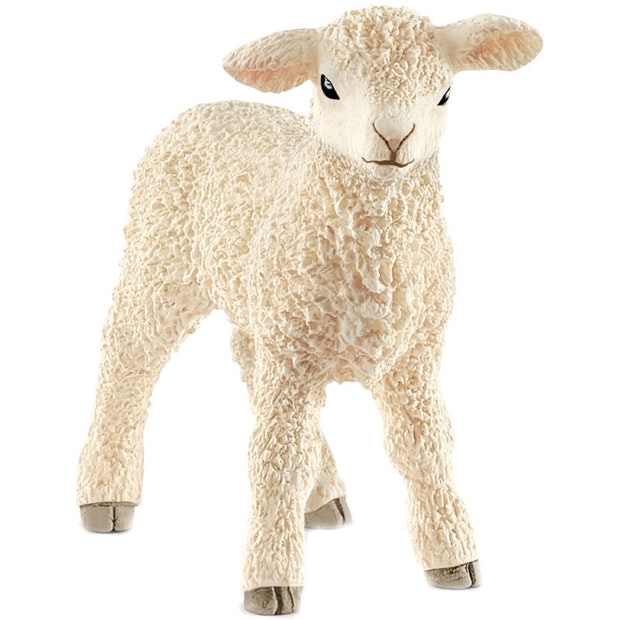 SC Lamb (4561287315491)