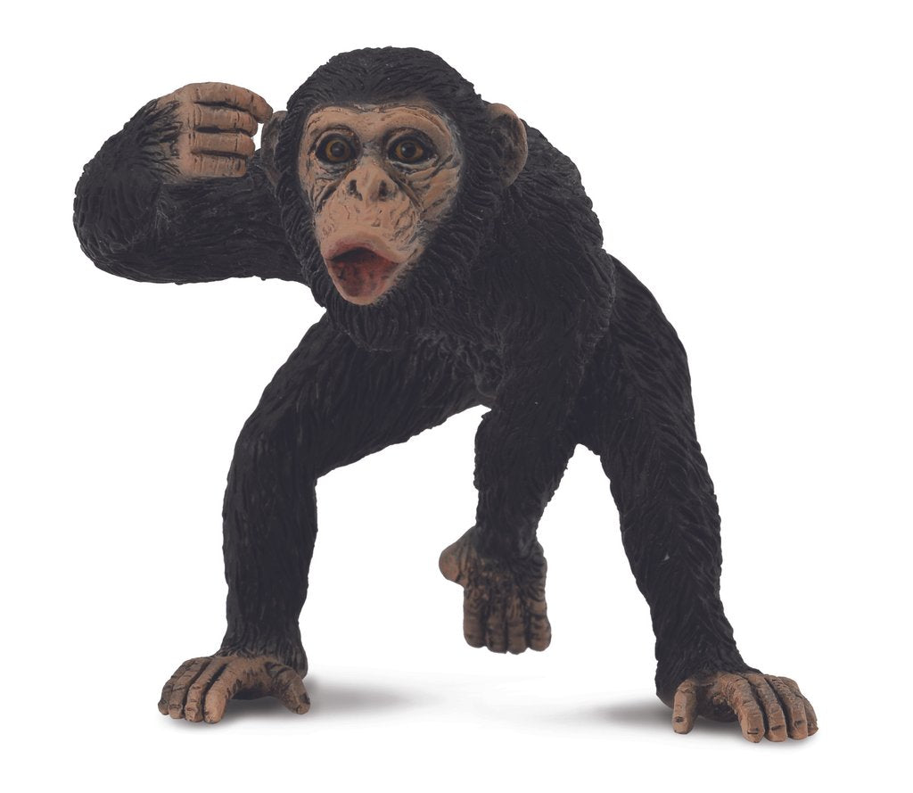 CO Chimp Male (M) (6222625276103)