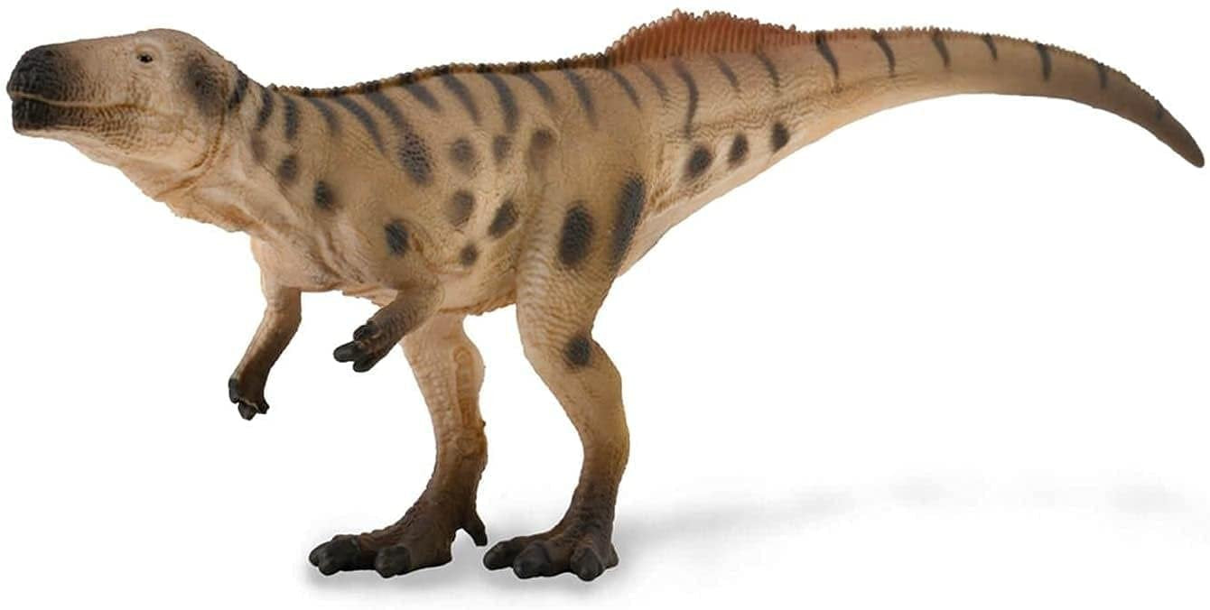 CO Megalosaurus (M) (6696940470471)