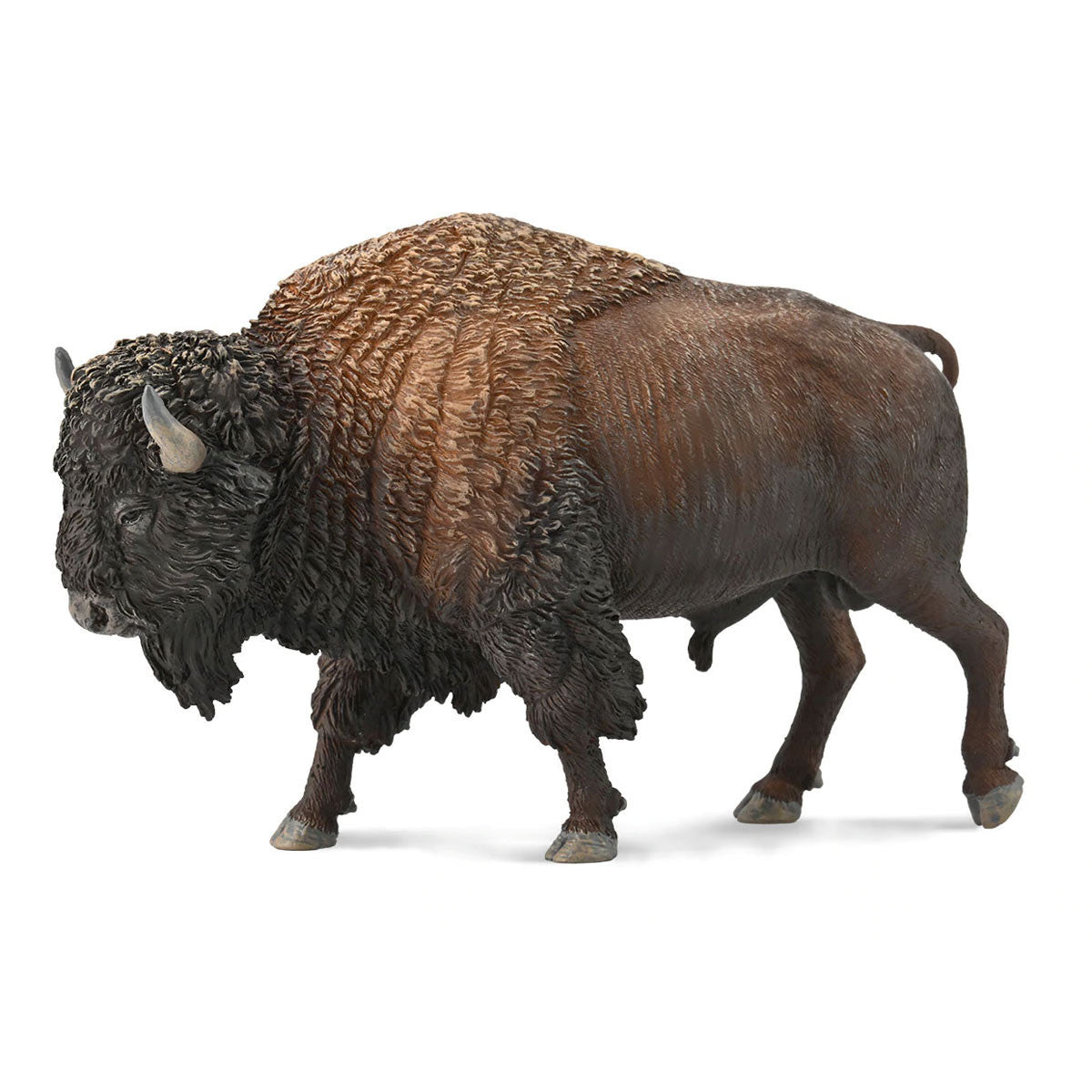 CO American Bison (XL) (7382455877831)
