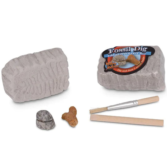 HJ Fossil Dig Paleo Kit (7380721696967)