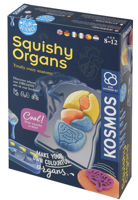 Squishy Organs (6814459658439)