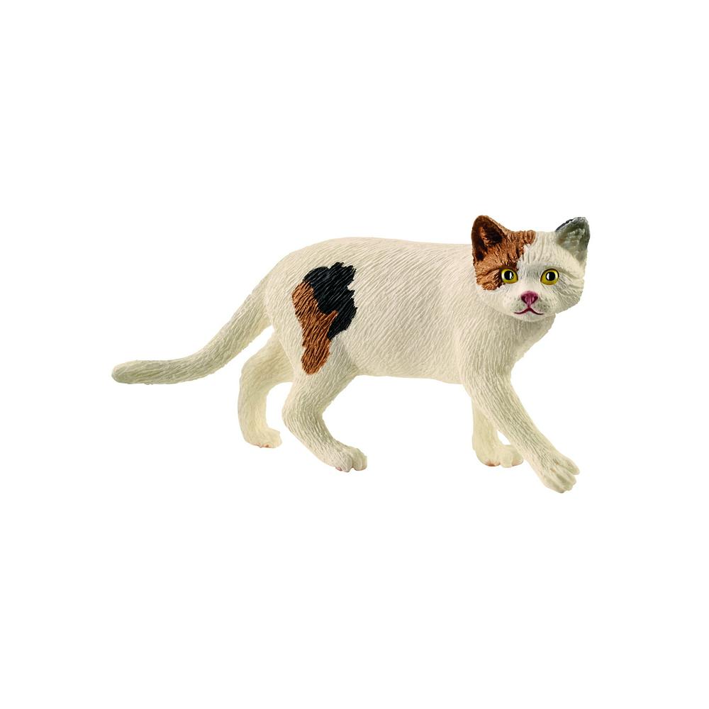SC American Shorthair Cat (4561288265763)