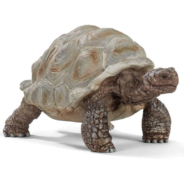 SC Giant Tortoise (6182372081863)