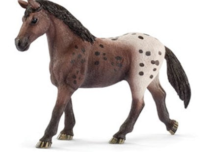 SC Appaloosa Mare (4561286266915)