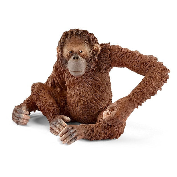 SC Orangutan Female (4588694667299)