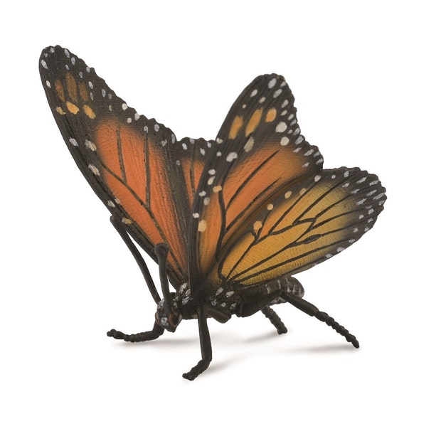 CO Monarch Butterfly (L) (4618940743715)