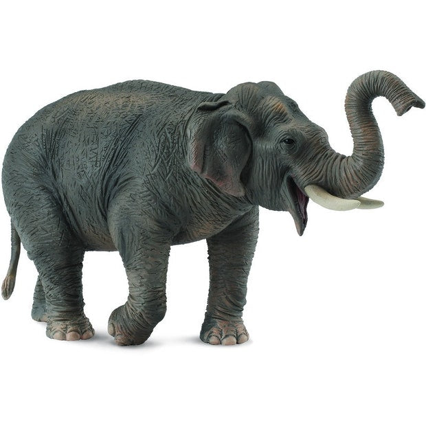 CO Asian Elephant (XL) (4618940678179)
