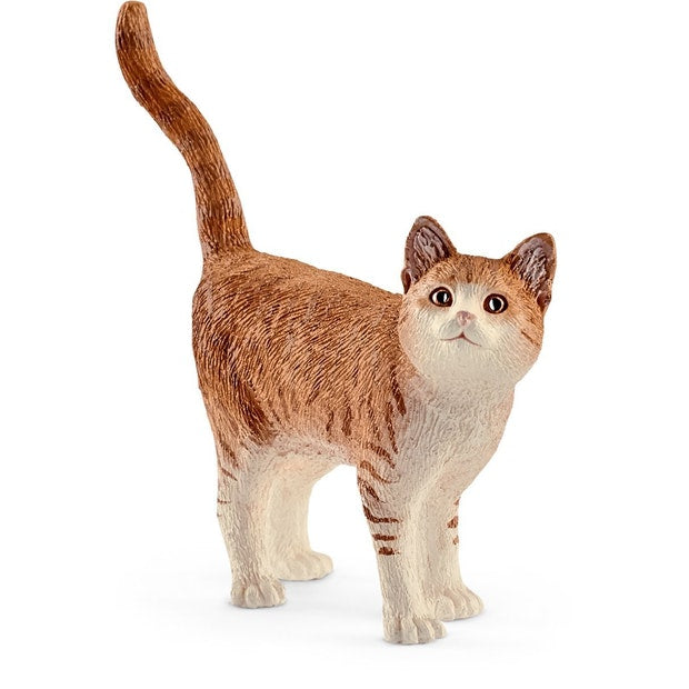 SC Cat Ginger (4561285251107)