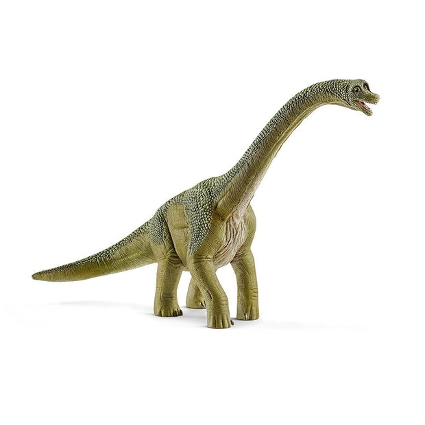 SC Brachiosaurus (4575937462307)