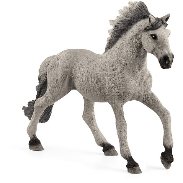 SC Sorraia Mustang Stallion (6246563905735)