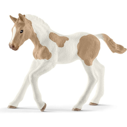 SC Paint Horse Foal (4561287512099)